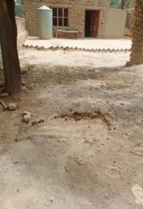 Rahim Yar Khan - Handpump - 21025d