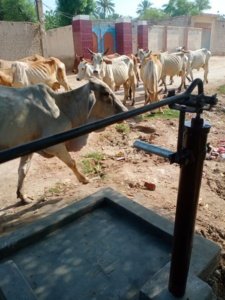 Rahim Yar Khan - Handpump - 21029e